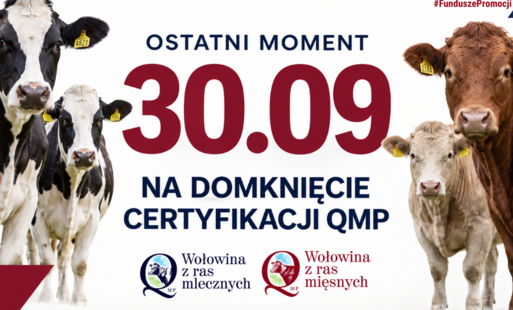 Zdjęcie do Certyfikat QMP &mdash; termin uzyskania upływa 30 września 2026 r.