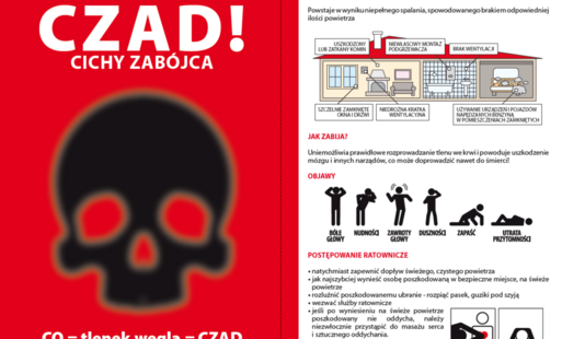 Zdjęcie do Ogłoszenie Powiatowego Inspektoratu Nadzoru Budowlanego w Olsztynie